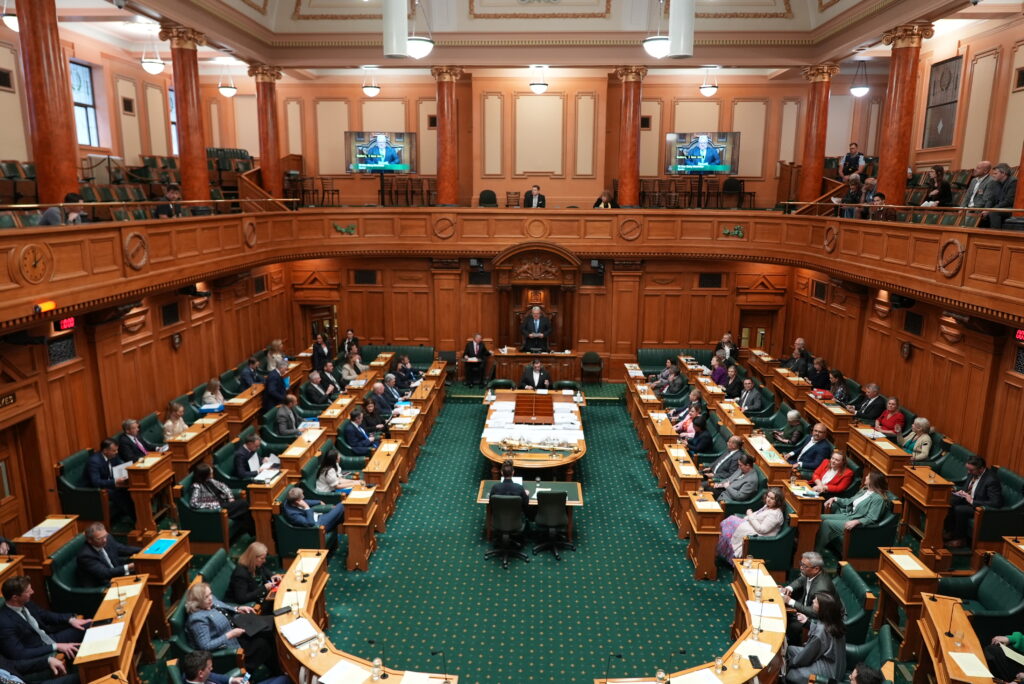 NZparliment