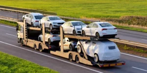 Car-importer-Australia-1024x508