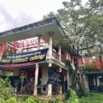 gallery_1778815867_6a06937bb3fbd