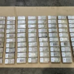 4JN8X1F_Customs_seizes_100_kilograms_of_cocaine_in_Tauranga_2_jpg