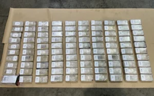 4JN8X1F_Customs_seizes_100_kilograms_of_cocaine_in_Tauranga_2_jpg