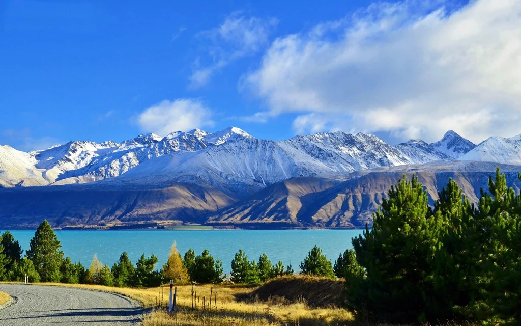 lake-pukaki-519277