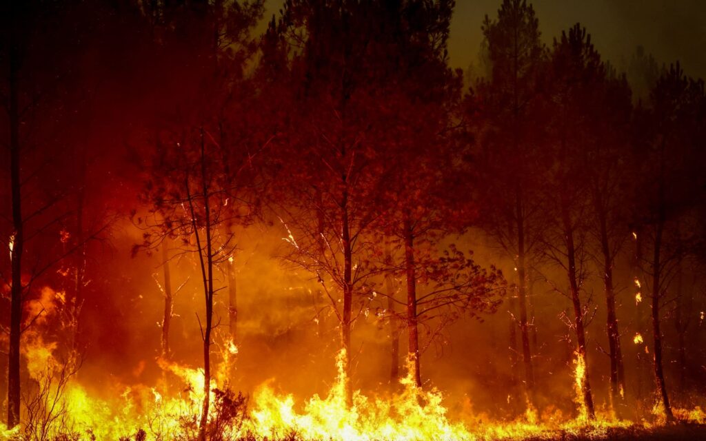 4JKUEH8_AFP__20260726__C39699P__v2__HighRes__FranceEnvironmentClimateWeatherWildfire_jpg
