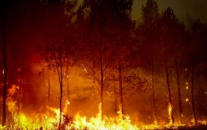 4JKUEH8_AFP__20260726__C39699P__v2__HighRes__FranceEnvironmentClimateWeatherWildfire_jpg