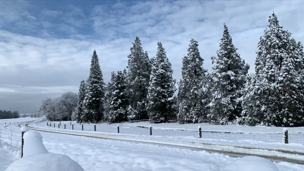 PYLIC2CPDFHDDKHWTMHYNE5DCQ