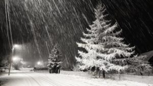 a-snowy-road-at-night-with-a-tree-in-the-foreground-free-photo