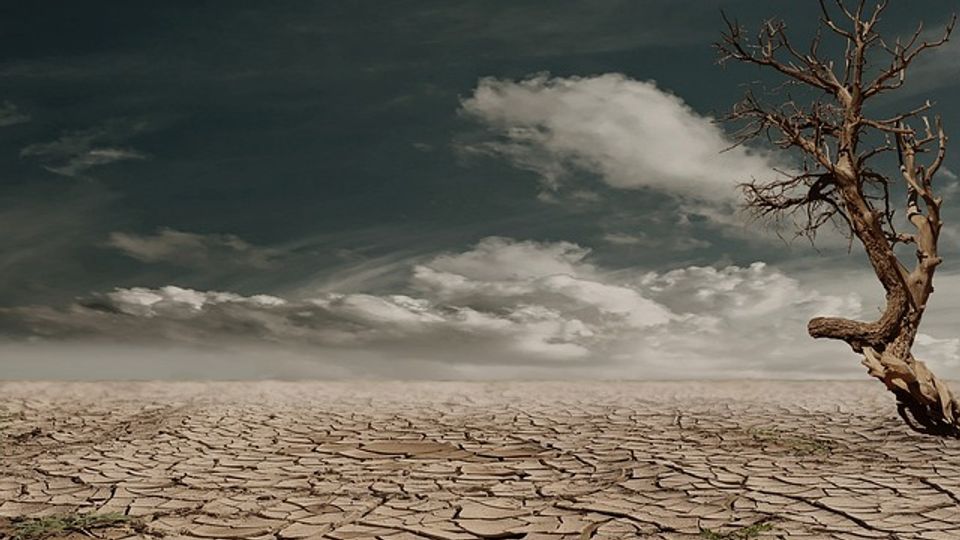 extreme-heat-and-drought-projected-to-impact-90-of-the-future-world-population-368907-960x540