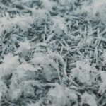 frost-ground-pnw-scaled-e1723060196196-1024x686