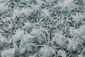 frost-ground-pnw-scaled-e1723060196196-1024x686