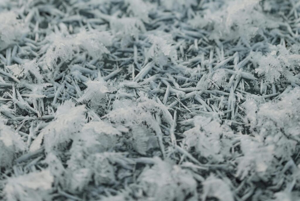 frost-ground-pnw-scaled-e1723060196196-1024x686