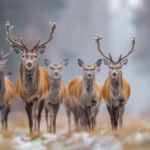 wild-deer-nature_23-2151474260