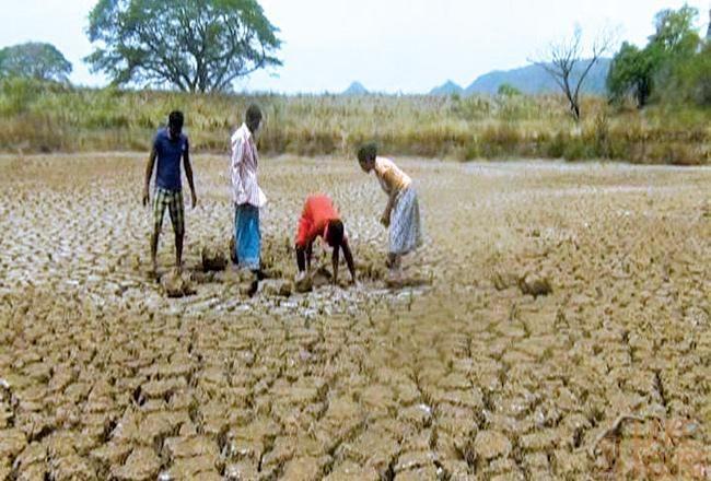 CG_31953ba0-aimage_story