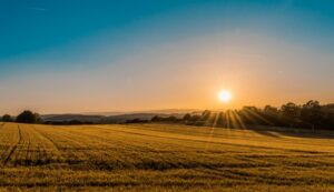 Feature-article-sector-agriculture-overview-838x484-2018
