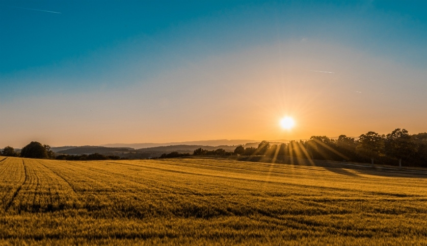 Feature-article-sector-agriculture-overview-838x484-2018