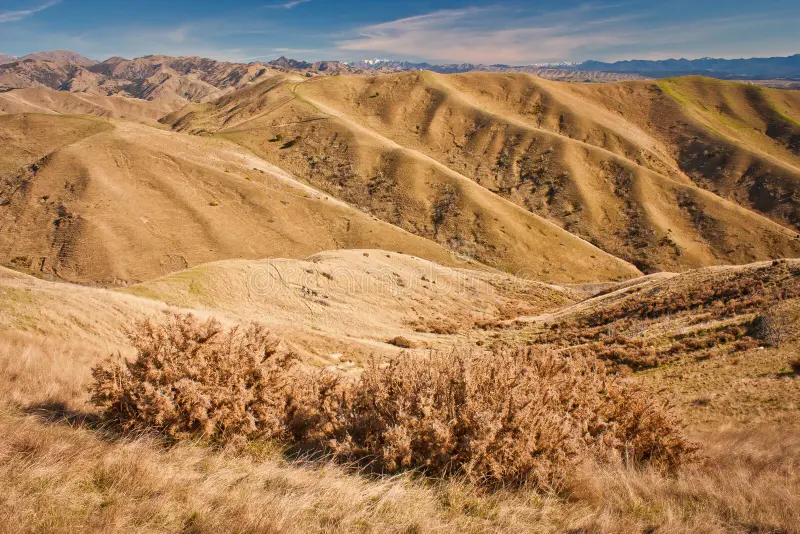 steep-dry-grass-hills-around-blenheim-south-island-new-zealand-hiking-nz-149343258