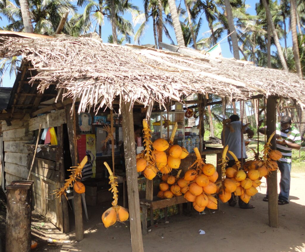 තැඹිලි_විකිනීම